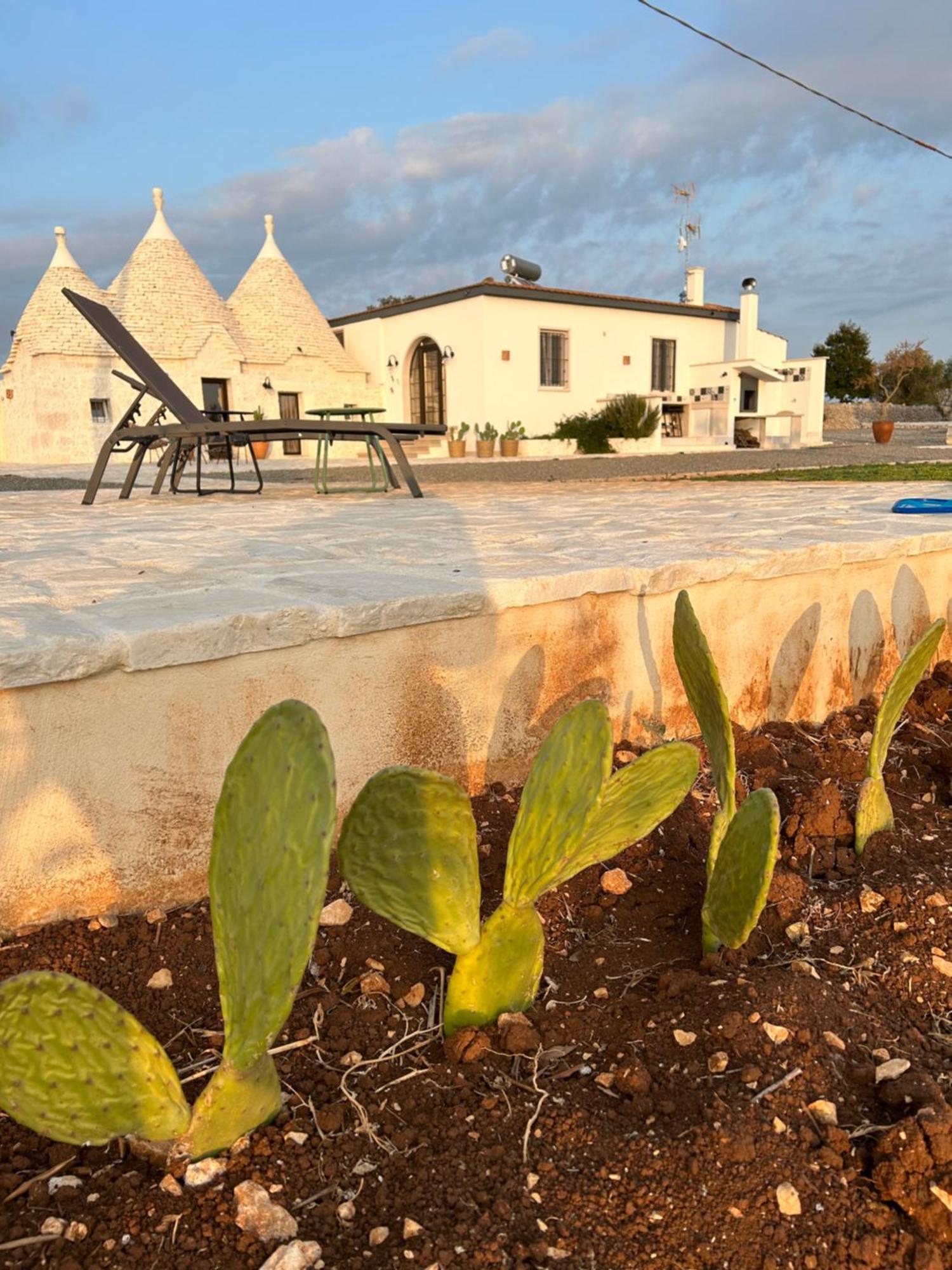 Trulli Enjoy