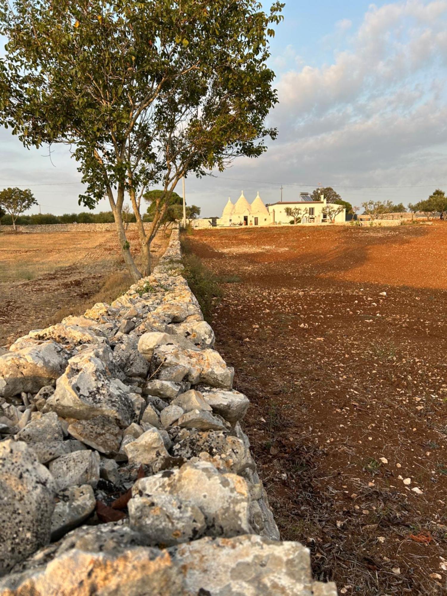 Trulli Enjoy Villa Noci