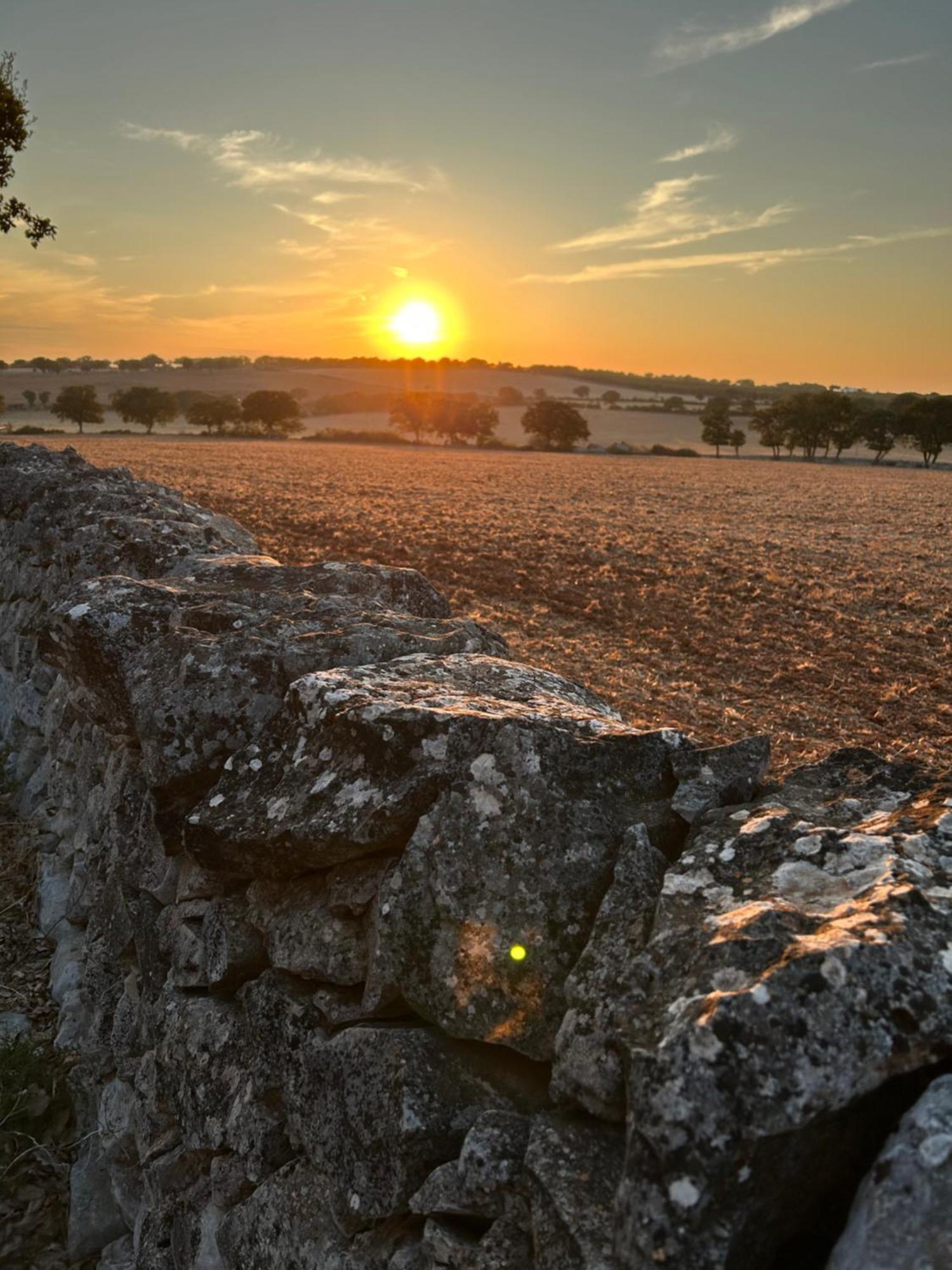 Villa Trulli Enjoy Noci
