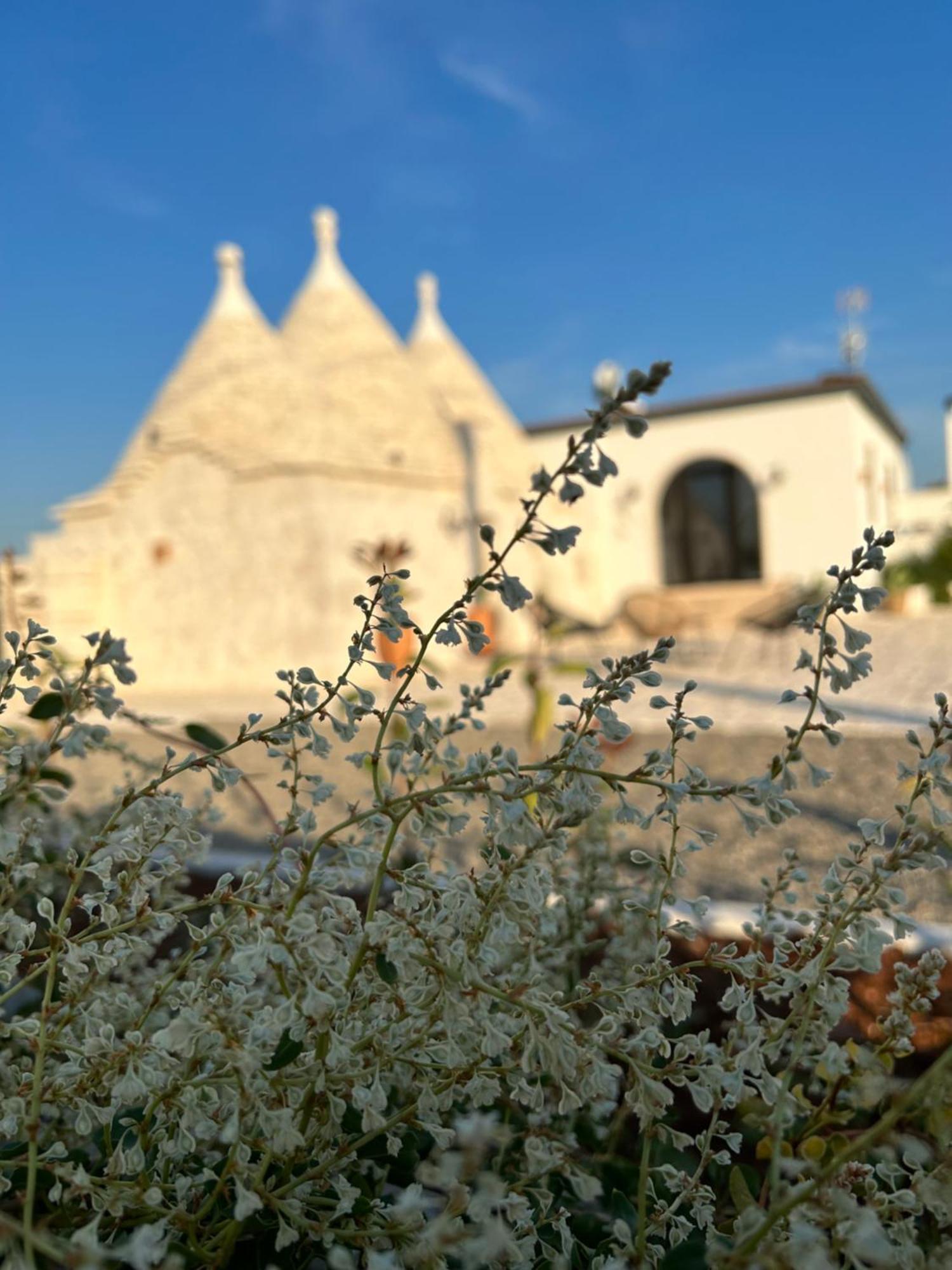 Trulli Enjoy *