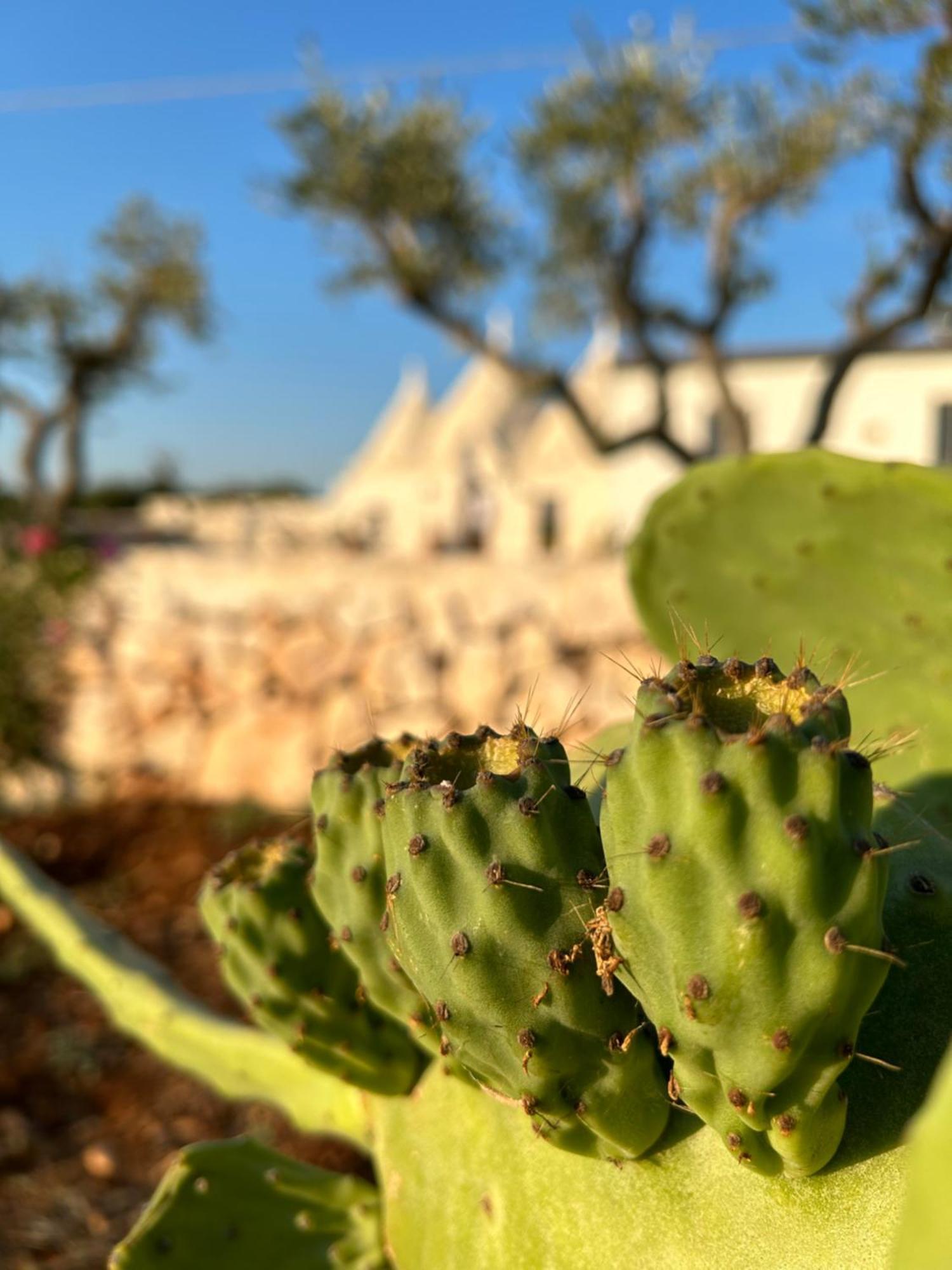 Villa Trulli Enjoy